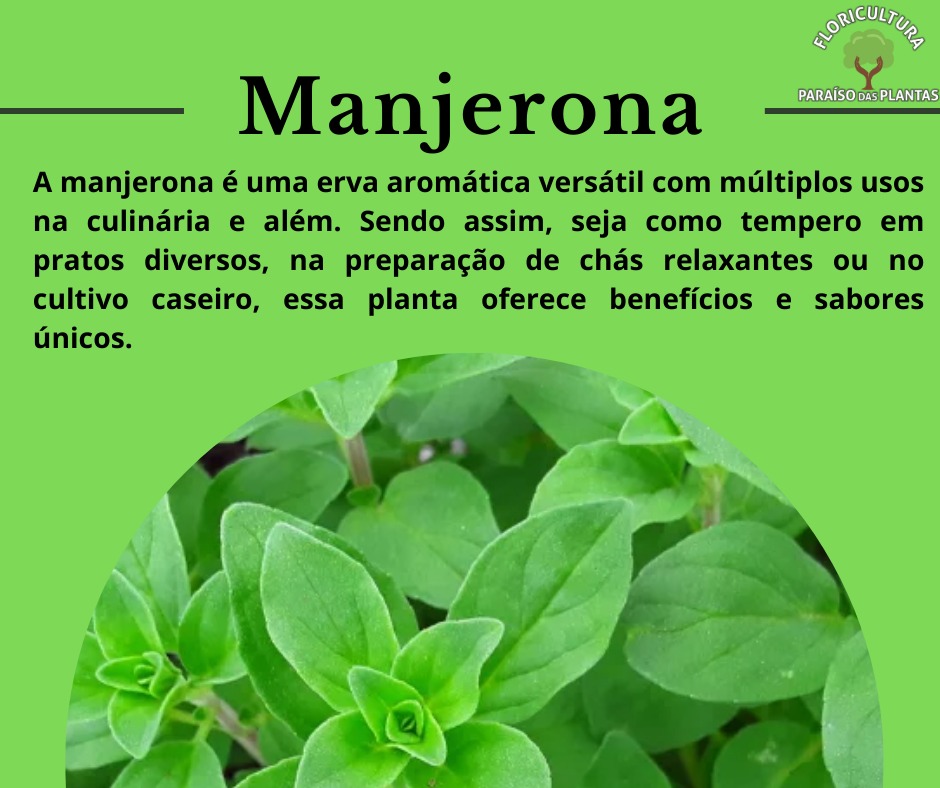 Manjerona